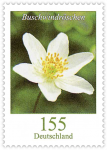 Briefmarken & Frankaturware