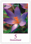 Briefmarken & Frankaturware